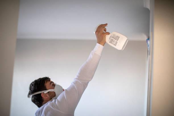 Best Bathroom Mold Remediation in South Toms River, NJ